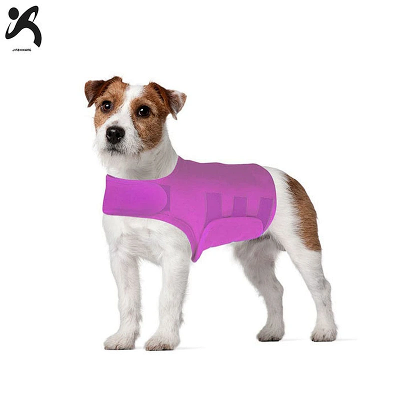 Canine rear supportive pet knee dog support brace neoprene breathable recover dogs protector