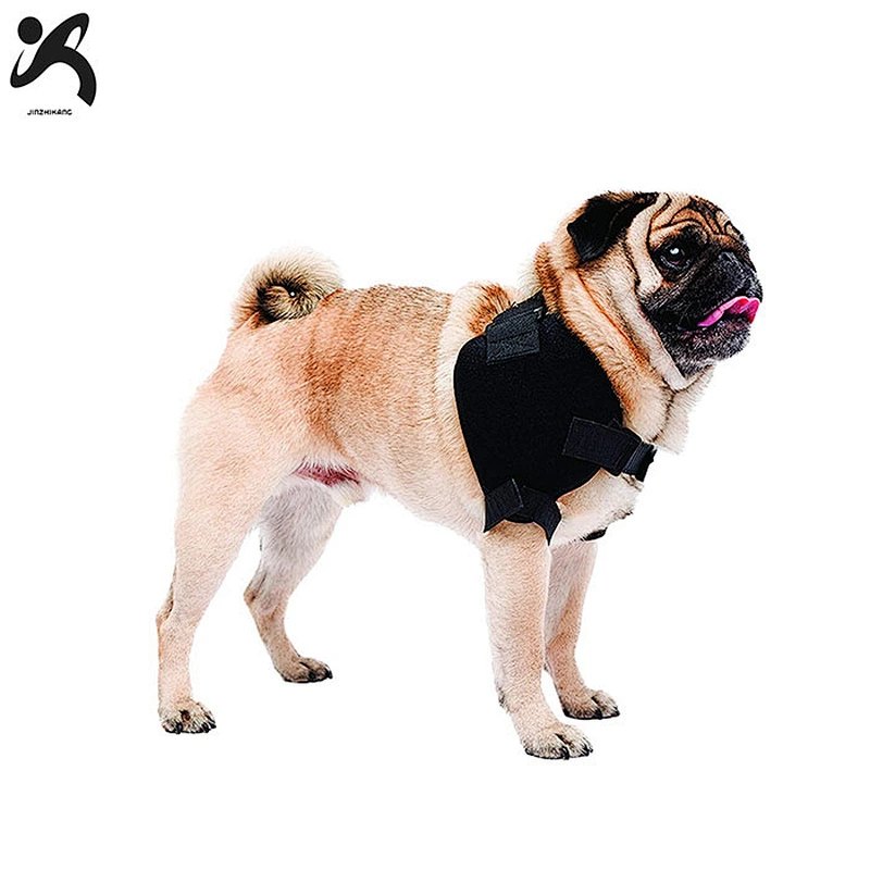 New design custom made breathable supportive rear dog leg support stability protectors reflective protection pet dog brace