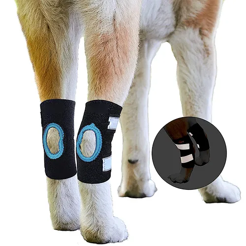 Neoprene Dog Knee Brace for Leg Dog Canine Protector Leg sleeve for Injury Sprain and Joint Wrap Protects