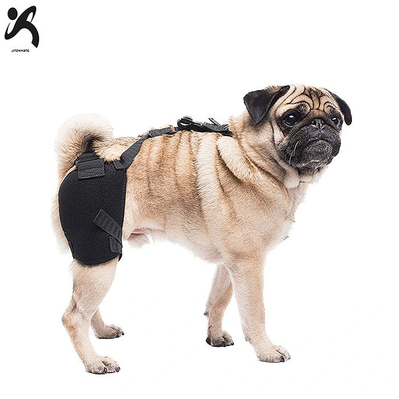 Factory direct supply neoprene dog brace high quality breathable security service dog strap knee support pads