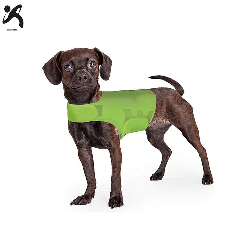 Supportive stability rear dog leg knee protect compression brace pet knee brace neoprene dog support brace