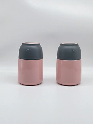 The 18oz stainless steel insulation Food Jar