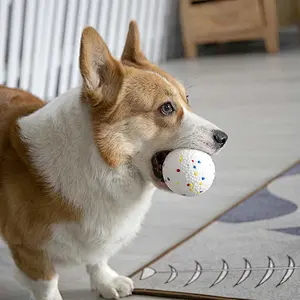 Ball for Dogs,Durable Dog Balls Bite Resistant High Elasticity Interactive Dog Toys, Balls Dog Chew Toy for Large Dogs, Medium & Small Dogs
