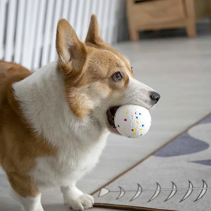 Ball for Dogs,Durable Dog Balls Bite Resistant High Elasticity Interactive Dog Toys, Balls Dog Chew Toy for Large Dogs, Medium & Small Dogs