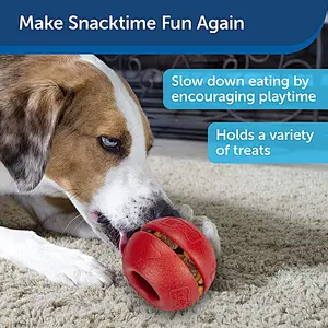 Slow Feeder Ball