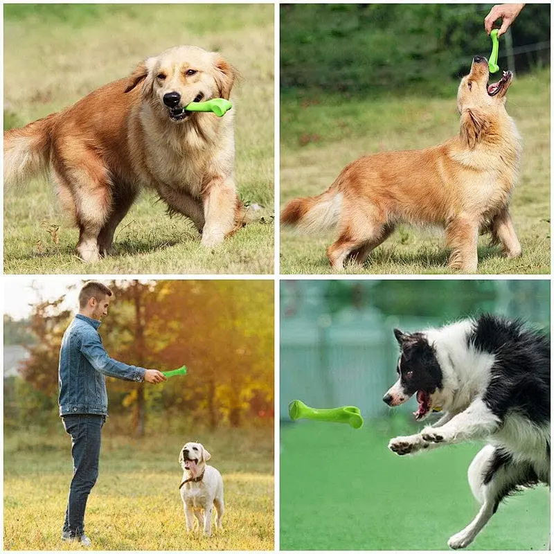 Rubber Bone