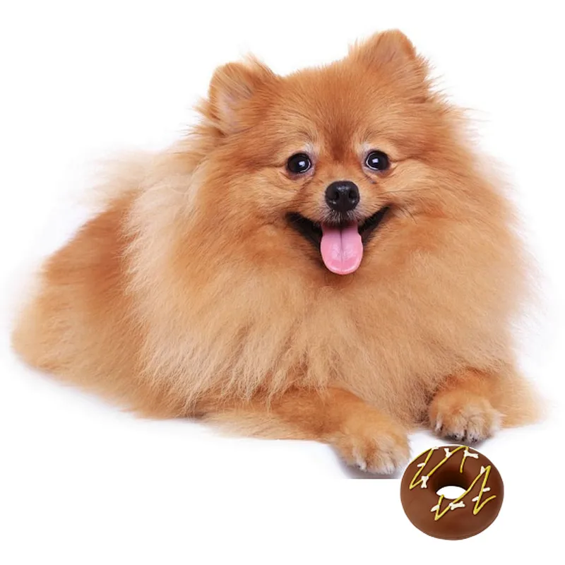 Latex chocolate donut toy