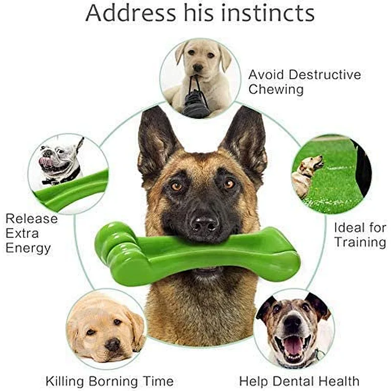 Rubber Bone