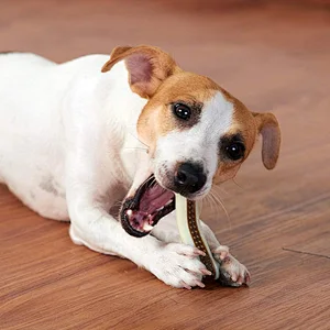 2 in 1 toy nylon and treat combo