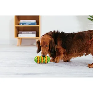 Rubber with Nylon Dispensing Treat Toy