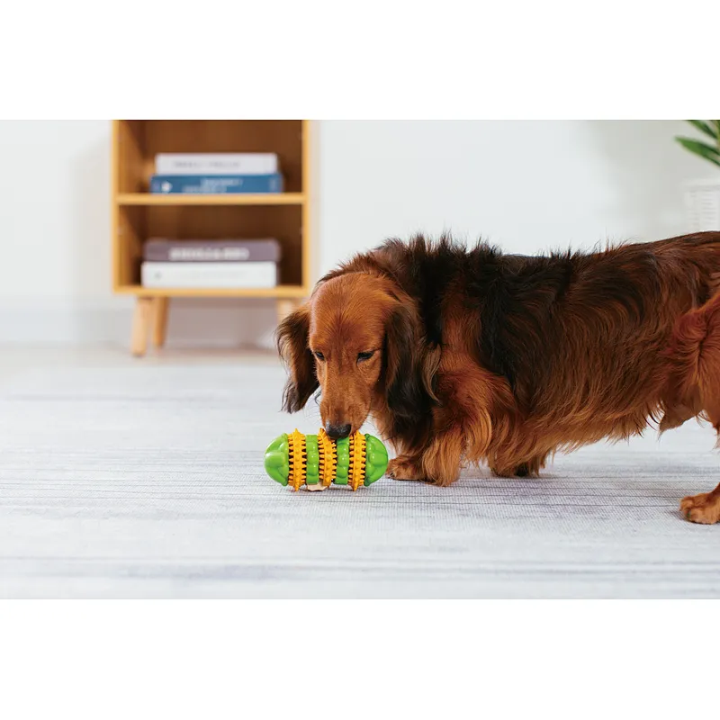 Rubber with Nylon Dispensing Treat Toy