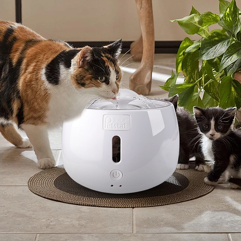 Smart pet fountain