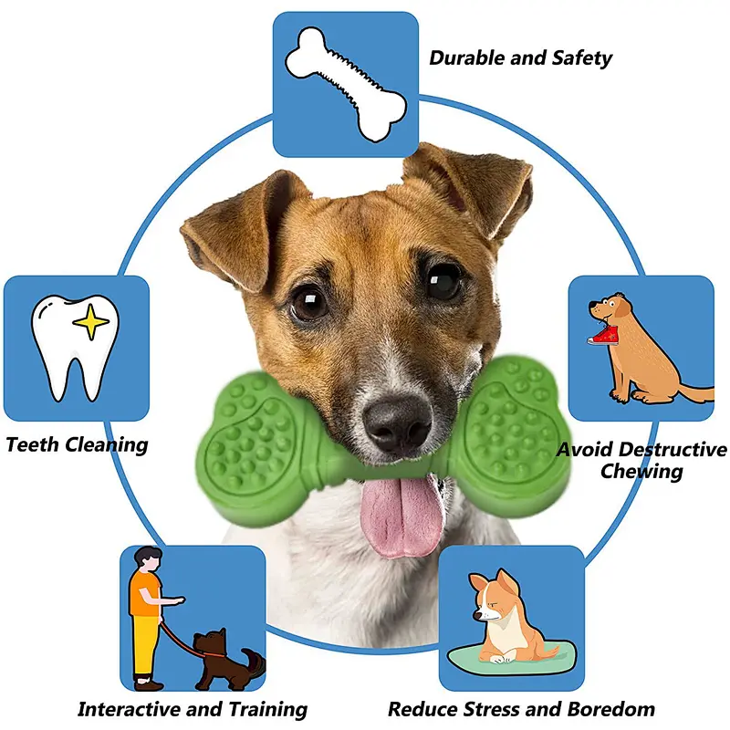 Bump Chew Bone