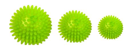 Squeaky Balls