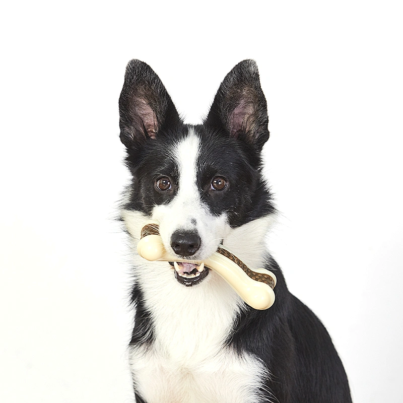 2 in 1 toy nylon and treat combo