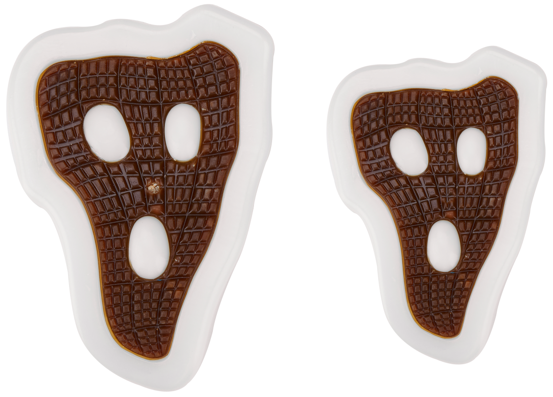 2 in 1 toy nylon and treat combo