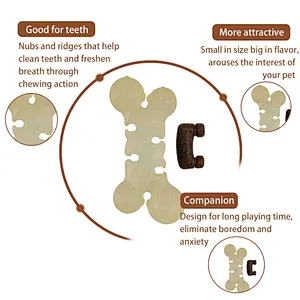 2 in 1 toy nylon and treat combo