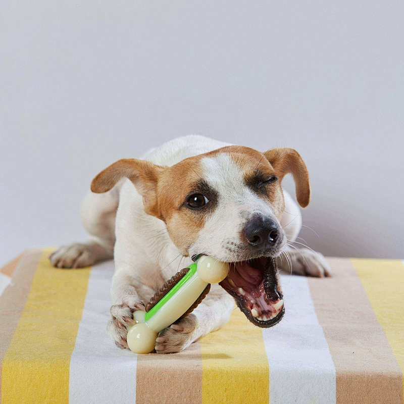 Nylon with PU Treat Bone