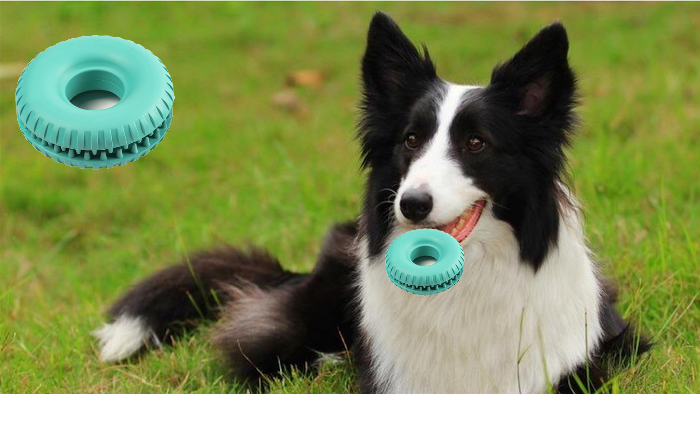 Teeth cleaning  tire