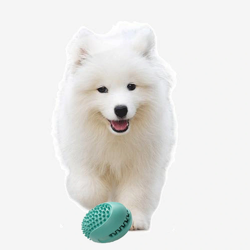 Teeth cleaning Range