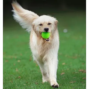 Squeaky Balls
