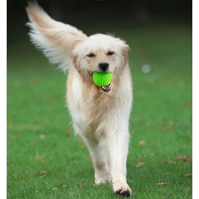Squeaky Balls