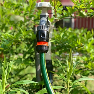 Garden 1/2