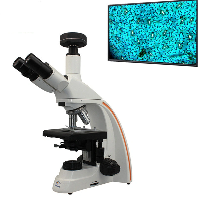 Cheaper Trinocular Phase Contrast Microscope  Biological Microscope price 40x-10000x biomicroscope