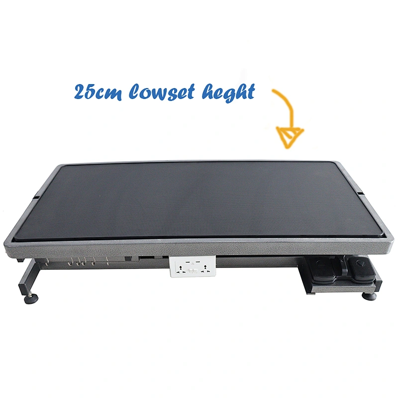 Electric Lift Big Top dog Grooming Table  1250*655mm For PET Grooming equipment clinic shop