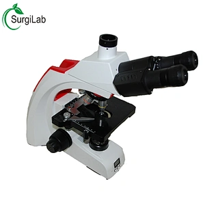 hot sale 40x -1600x Laboratory Biological Microscope Trinocular Thermostat Microscope for Animal hospital