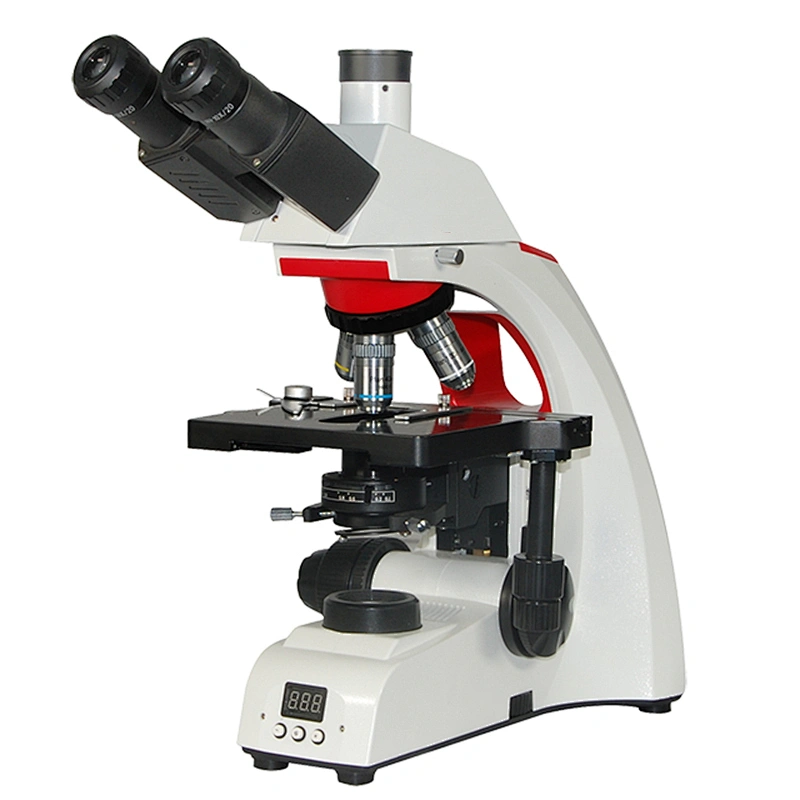 1000X binocular trinocular biological microscope with 100X oil immersion objective