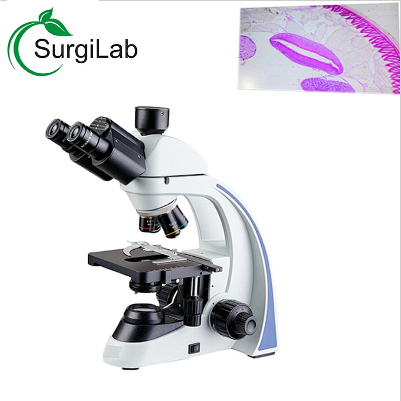 1000X binocular trinocular biological microscope with 100X oil immersion objective