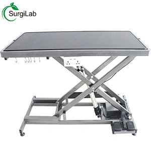 Cheap price  Pet grooming table Electric lift grooming tables for dog