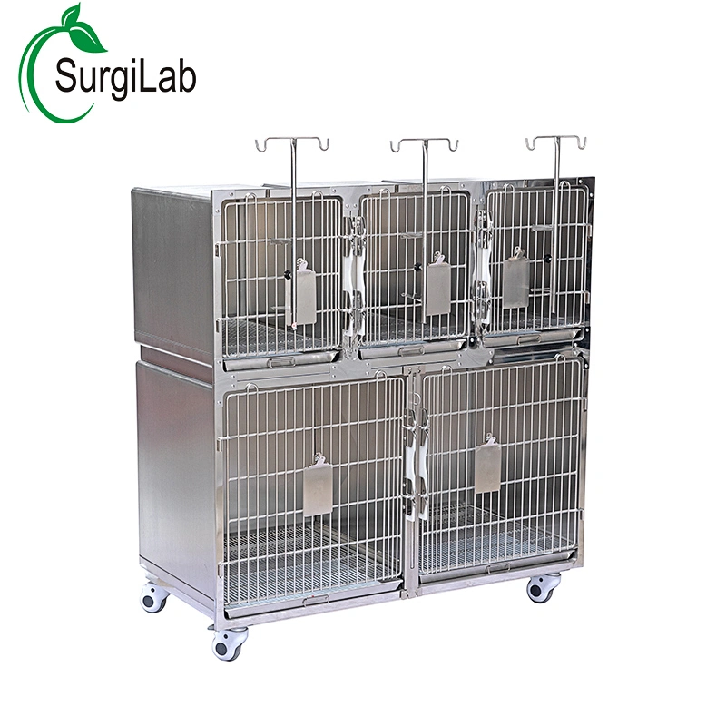 Veterinary Equipment stainless steel 5 door pet cage for dog and cat