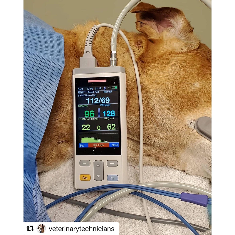 Multifunction Portable Veterinary Monitor for dog cat