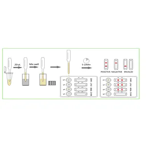 The Ehrlichia – Lyme - Anaplasma - Heartworm Combo Test
(TBD-4)