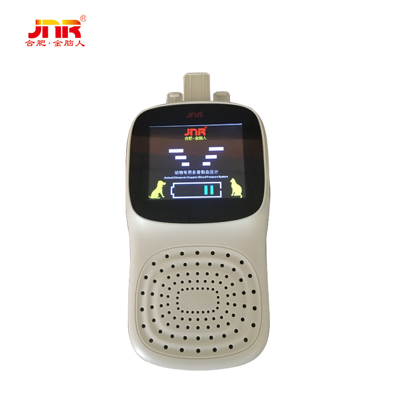 Blood Pressure meter