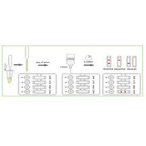 The Ehrlichia – Lyme - Anaplasma - Heartworm Combo Test
(TBD-4)