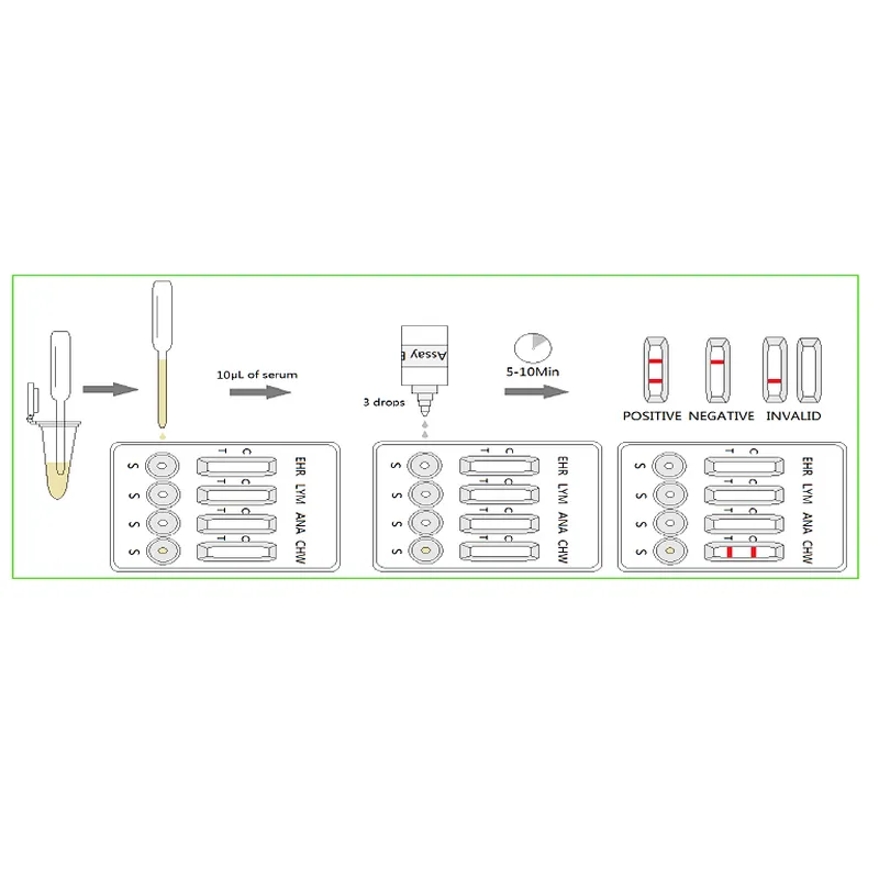 The Ehrlichia – Lyme - Anaplasma - Heartworm Combo Test
(TBD-4)