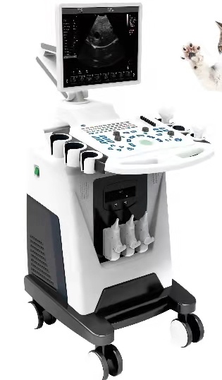 ultrasound