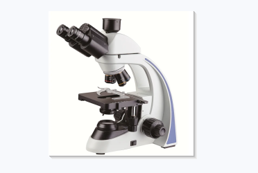 Microscope 