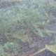 insect protection net