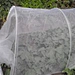 insect protection net