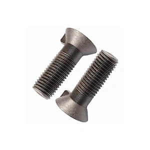 Wholesale Flat Countersunk Head Carriage Nib Bolts DIN604