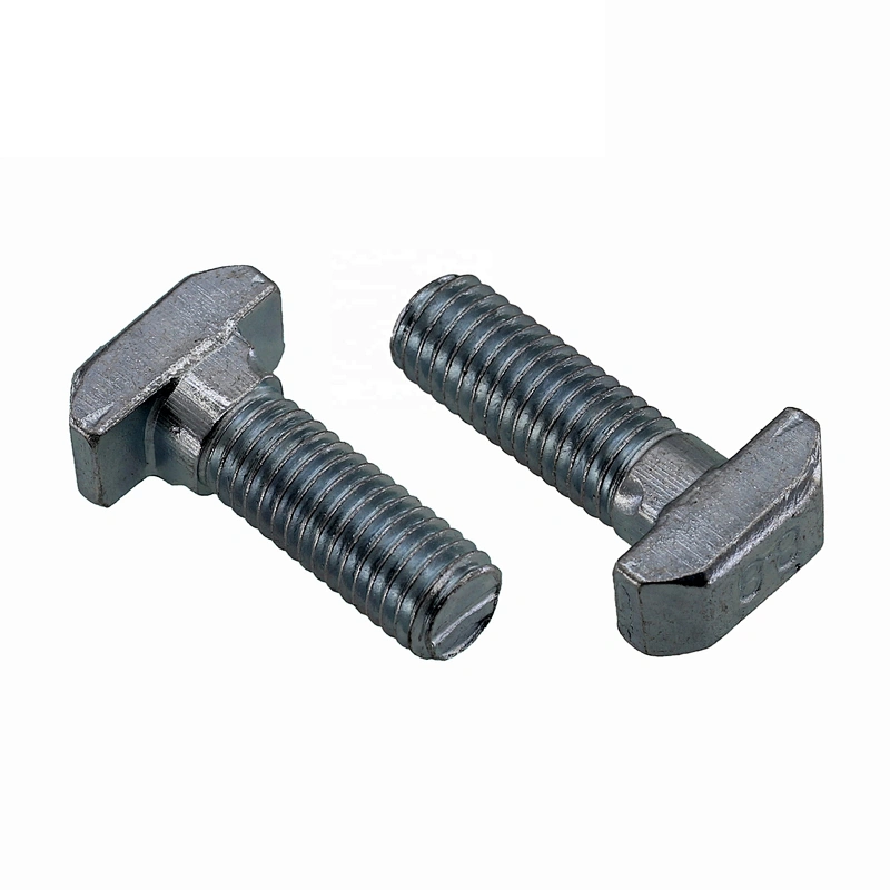 Factory T Bolt DIN188 T-head Bolts With Double Nib
