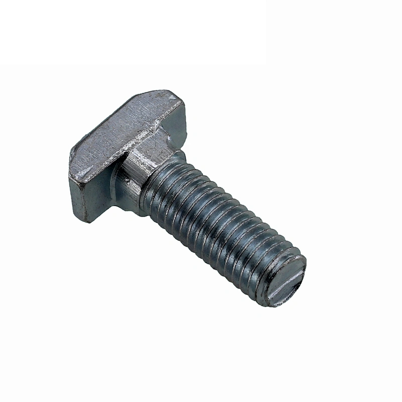 Factory T Bolt DIN188 T-head Bolts With Double Nib