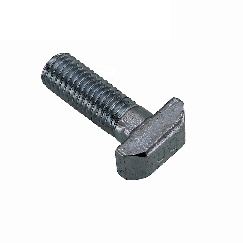 Factory T Bolt DIN188 T-head Bolts With Double Nib