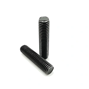 4.8 8.8 10.9 SS304 Stainless Steel Full Threaded Bar DIN976-1 Thread Rods