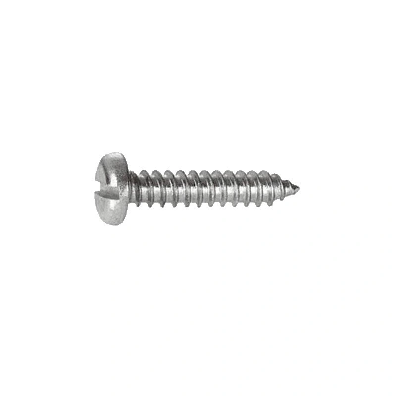 Stainless Steel 304 DIN7971 M2.2 M2.9 Slotted Pan Head Self Tapping Screws in Stock