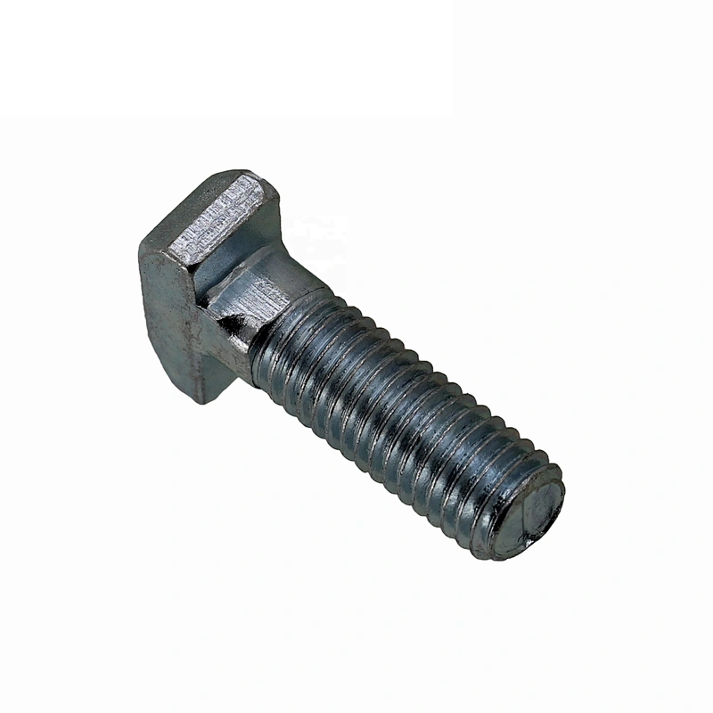 Factory T Bolt DIN188 T-head Bolts With Double Nib